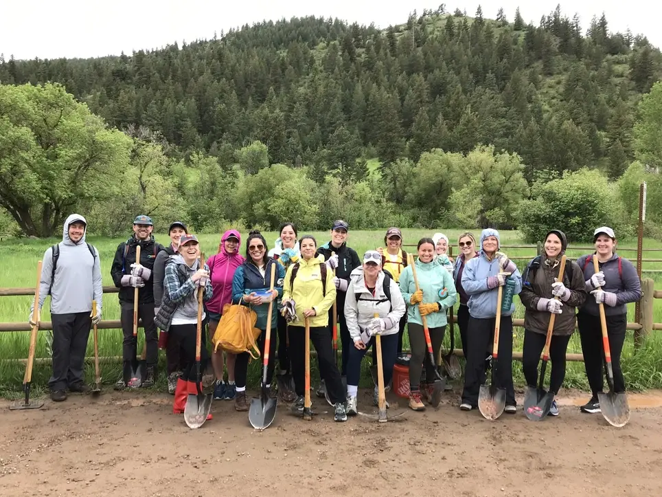 Group Volunteer Projects