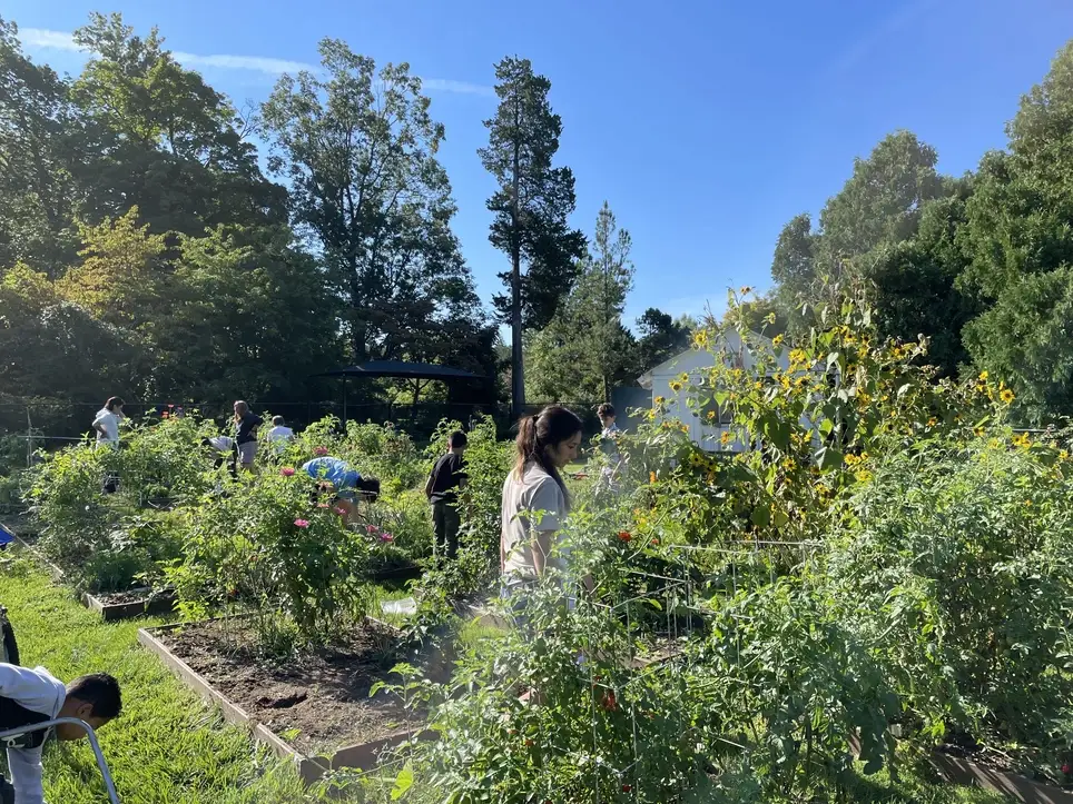 Event and Program Assistant for Youth Programming