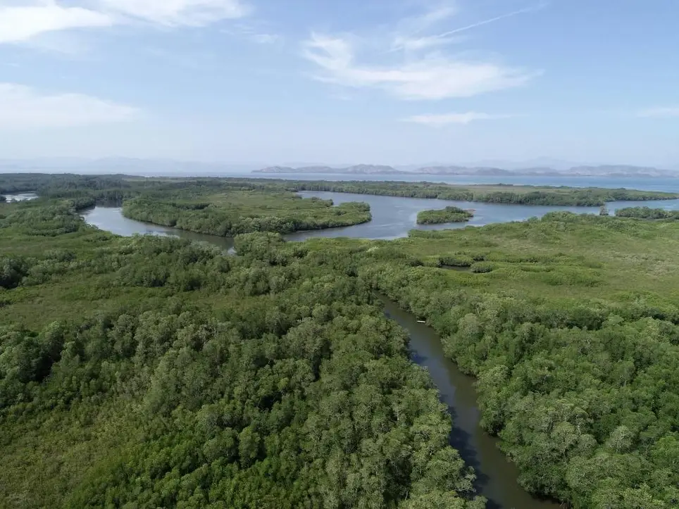 Volunteer Opportunity: Capacity Development and Policy Support Officer.