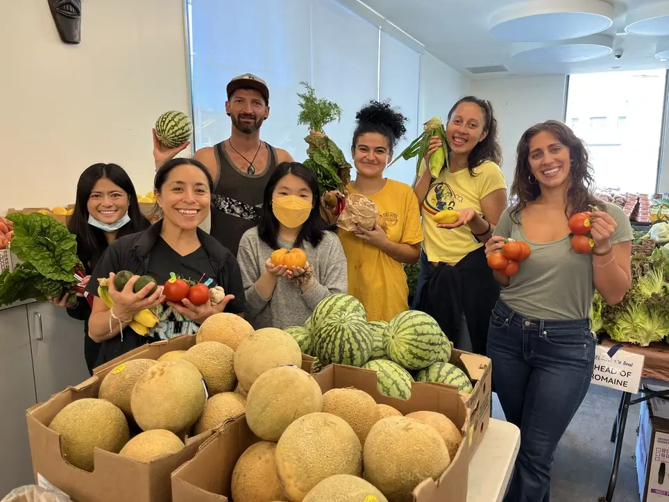 Juneteenth Food to Freedom Volunteer Opportunity