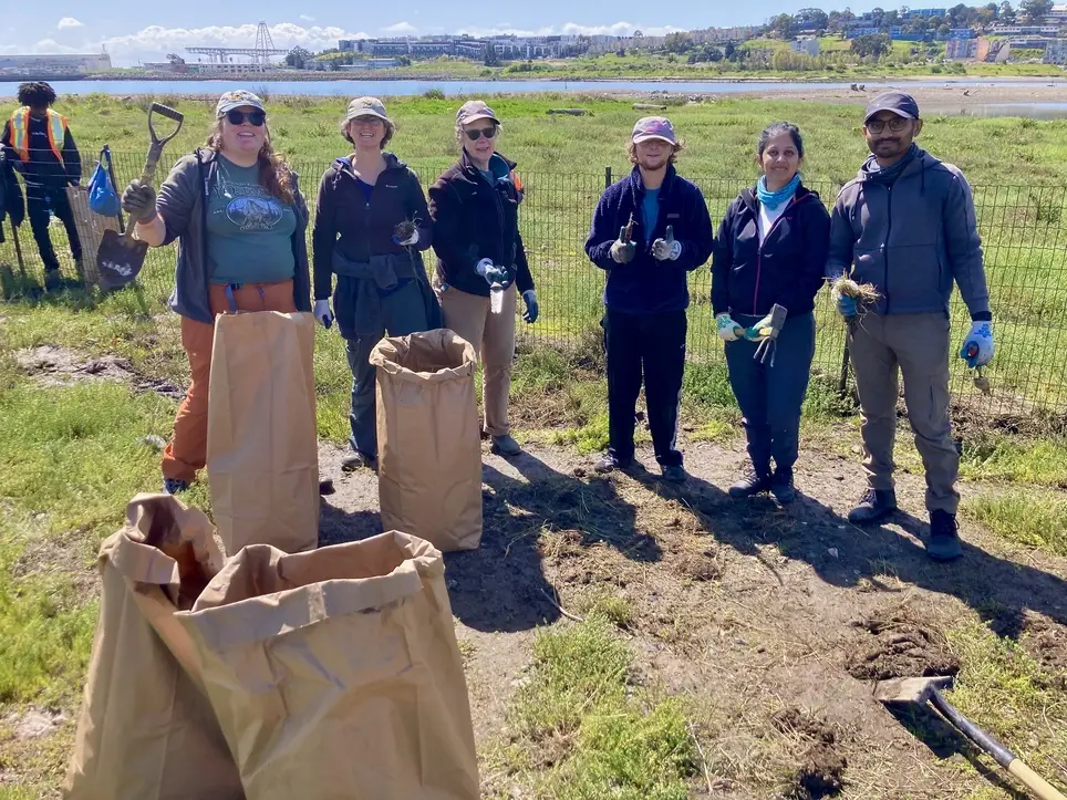 Heron's Head Park, San Francisco SE Shoreline Habitat Restoration