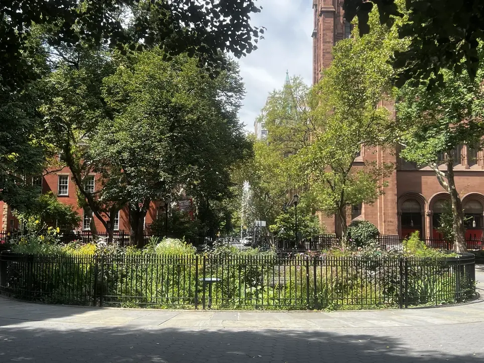 Volunteer Photographer