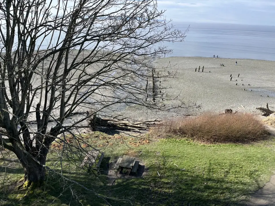 Increase Biodiversity at Picnic Point Park!