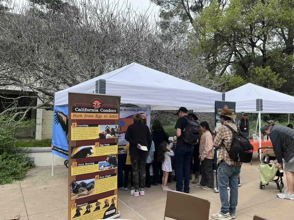 Moorpark Teaching Zoo (EATM) Spring Spectacular  - Help at our Condor Booth (weekend 2)