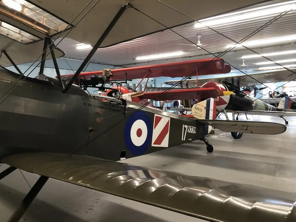 Summer Museum Greeter