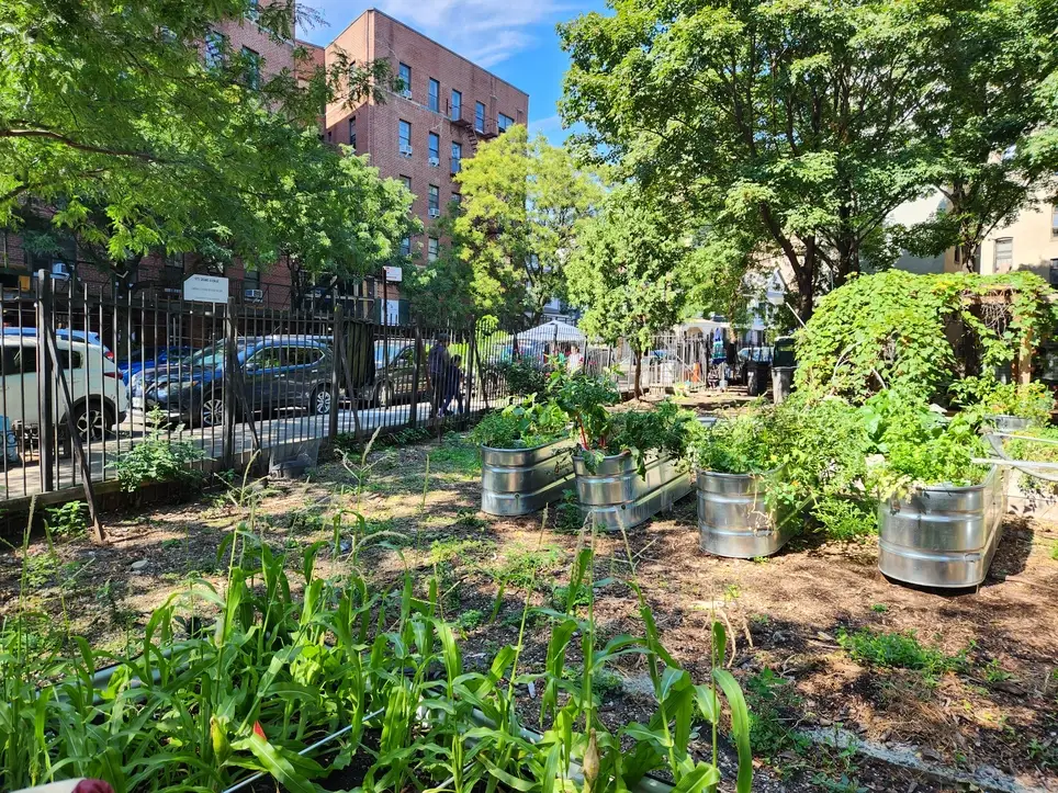 Garden Shed Organization & Planter Build at Leave It Better Community Garden