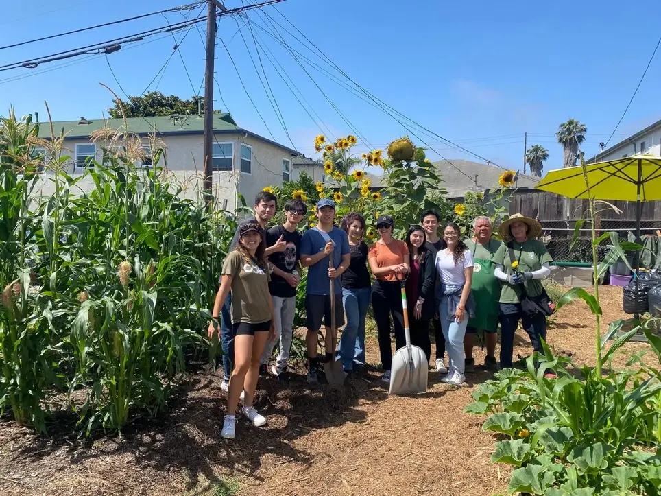 Help plant & harvest at our Farm & Food Gardens with residents of affordable & permanent supportive housing