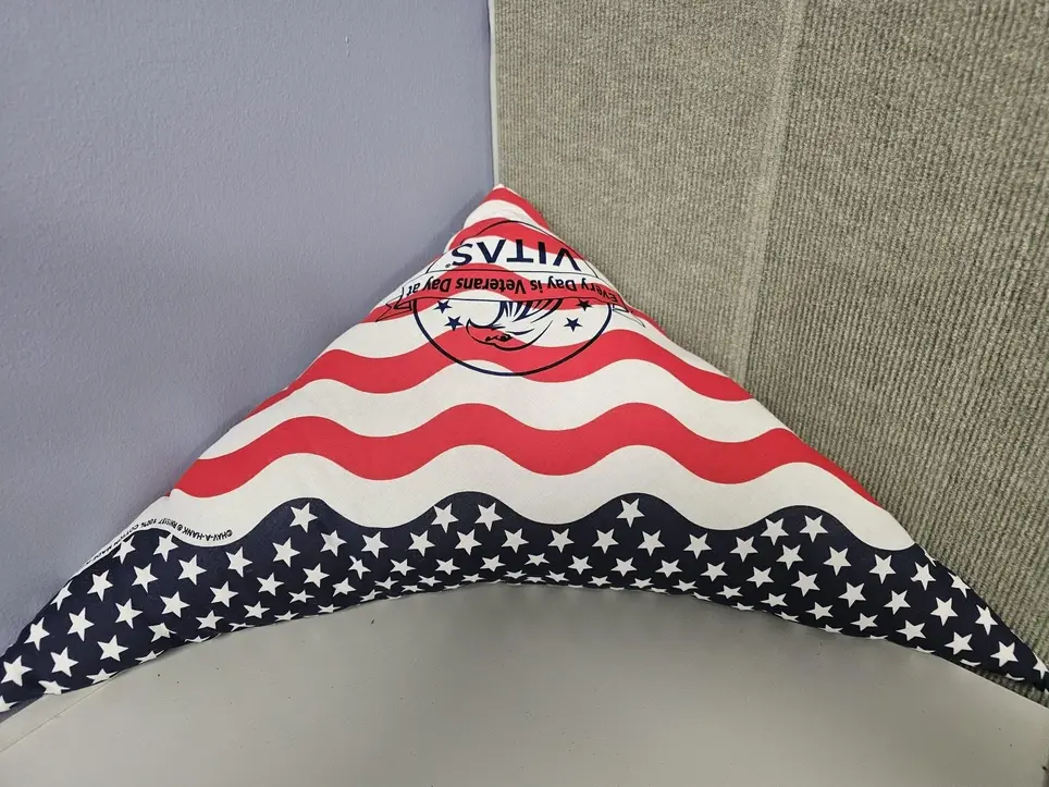 Become a VITAS Veteran Volunteer - Serve Those Who Served