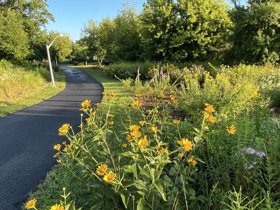 Outdoor work on the Rountree Branch Trail