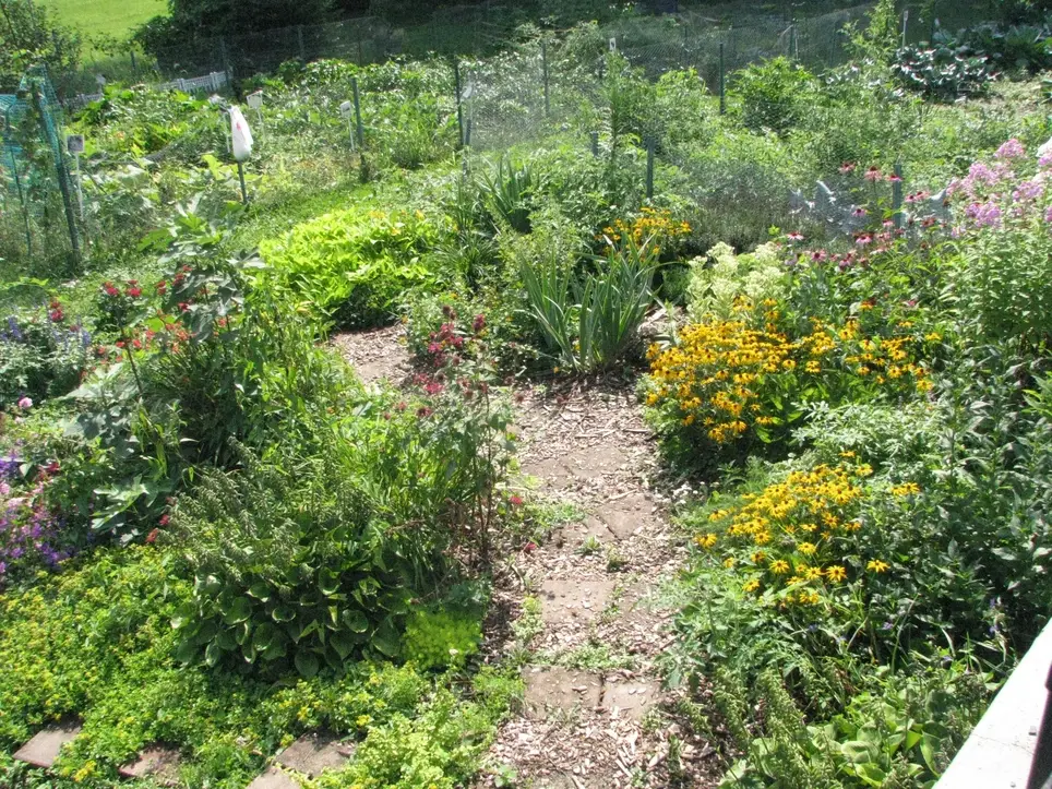 Come Grow with Us! Volunteer Garden Day