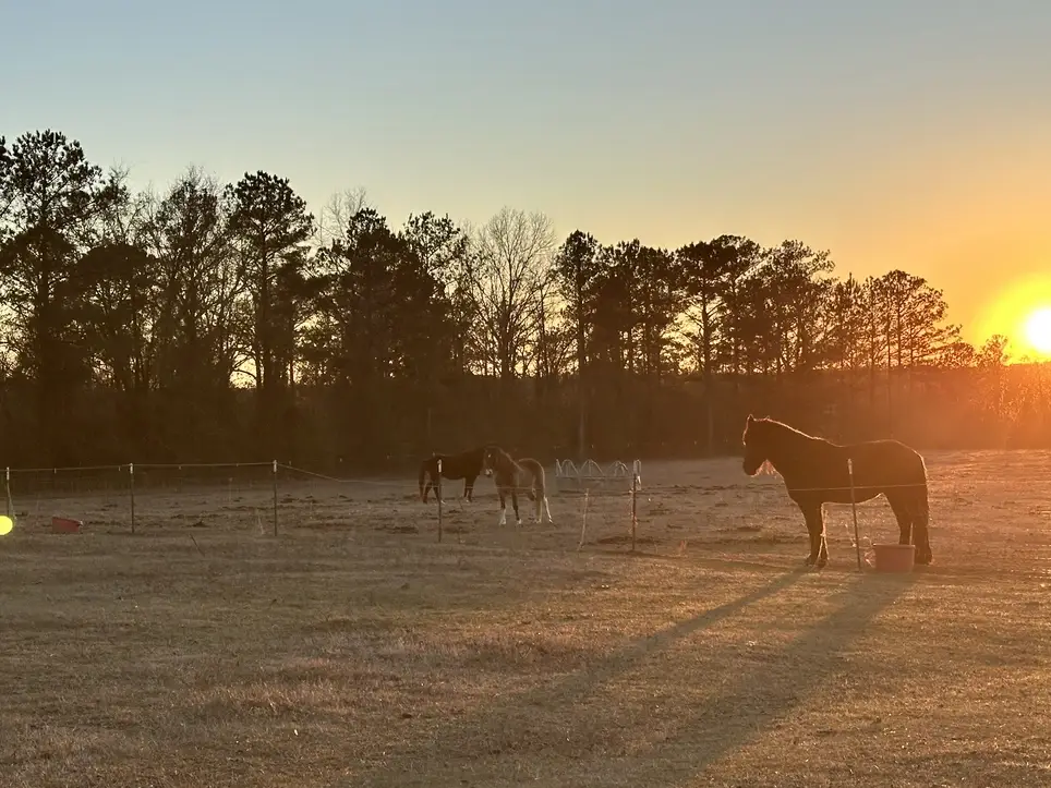 Farm care in preparation for events