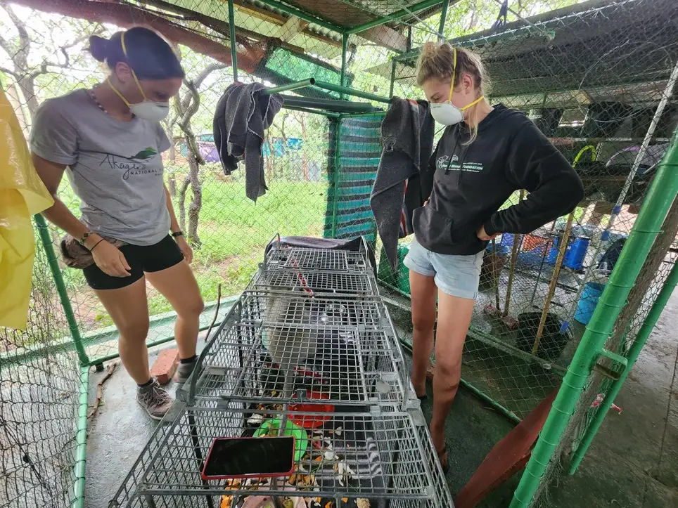 Wildlife Rehabilitation & Volunteer Coordinator
