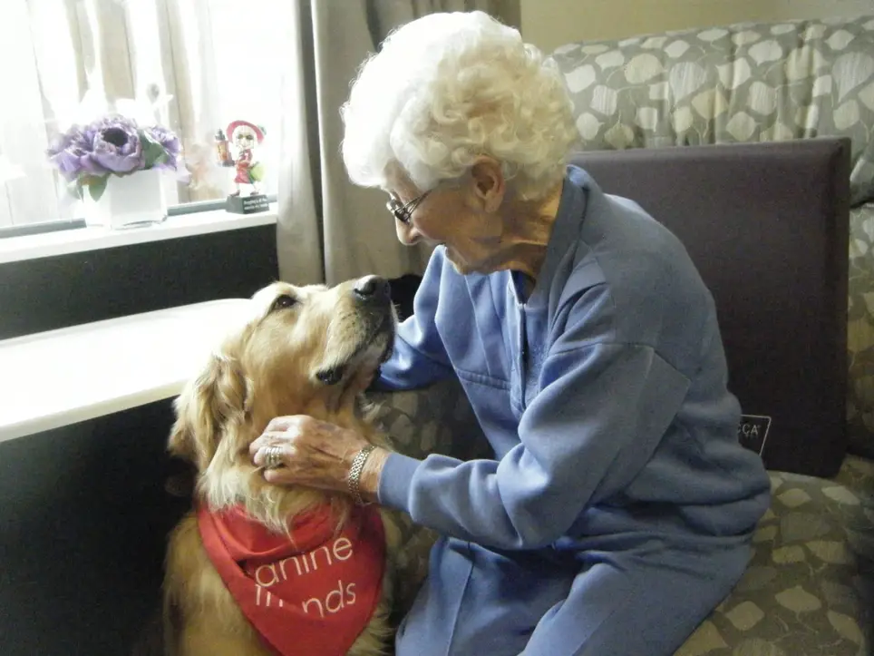 Calling all Dogs (and owners) for Hospice Pet Therapy!