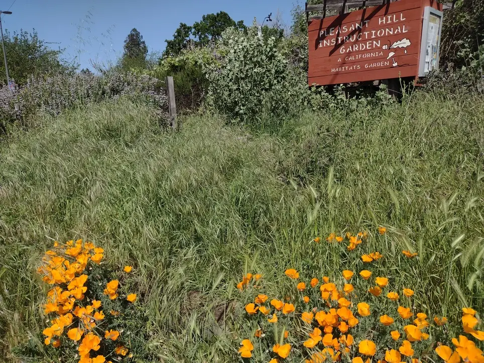 Weekend Garden Work Party for Community Service