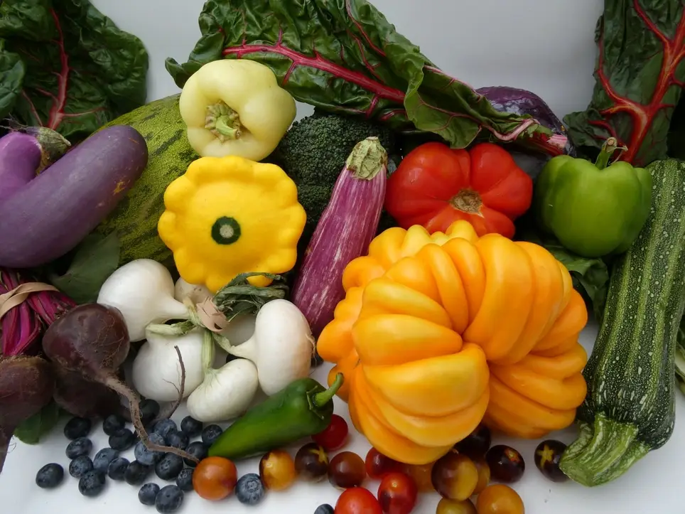 Tri-Cities Food Co-op Volunteer