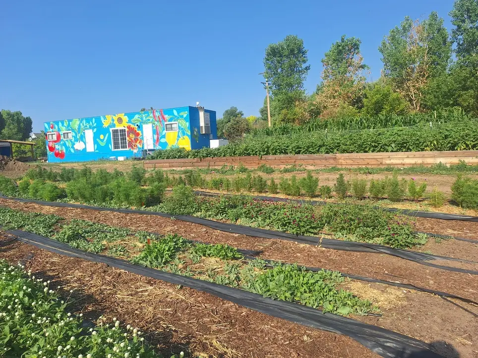 Fall Farm Volunteer Opportunity