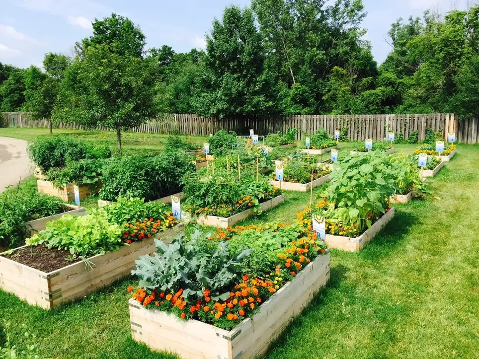 Seeking Nonprofit professional help with an Urban Farm