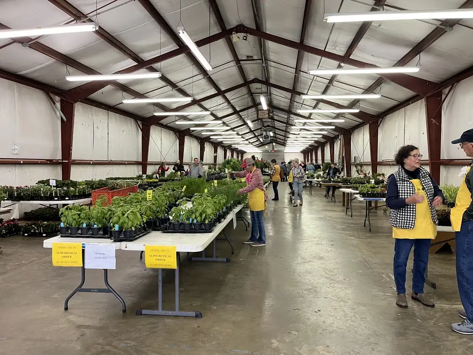 Herb & Plant Sale
