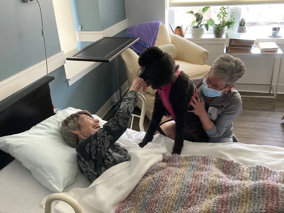Grace Hospice Seeking Human and Pet Volunteers!