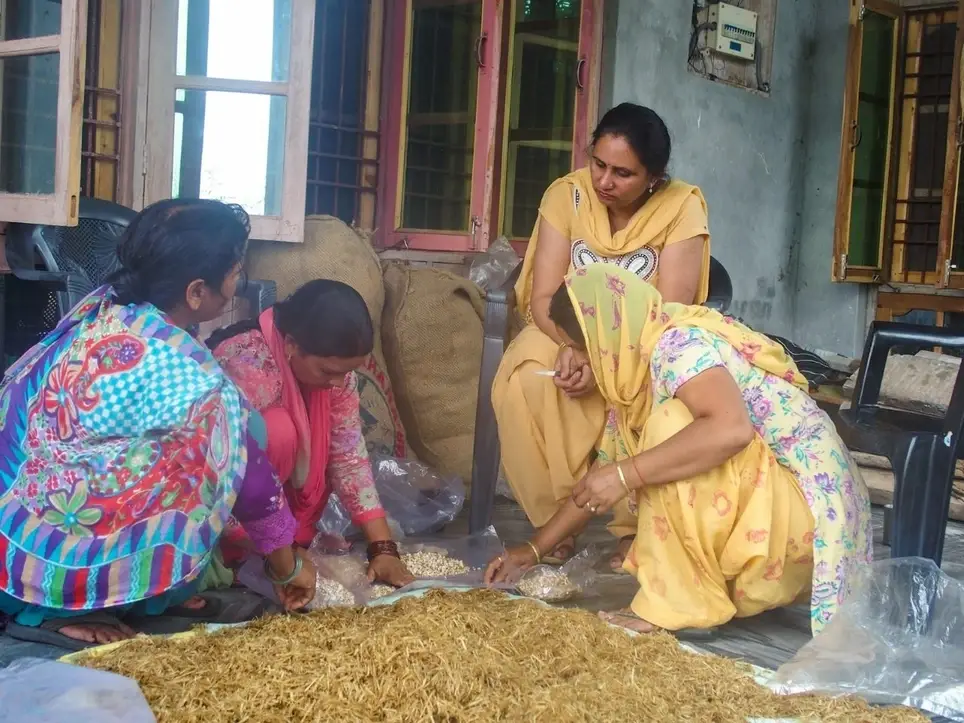 Volunteer-Internship: Women's Livelihoods and Enterprise