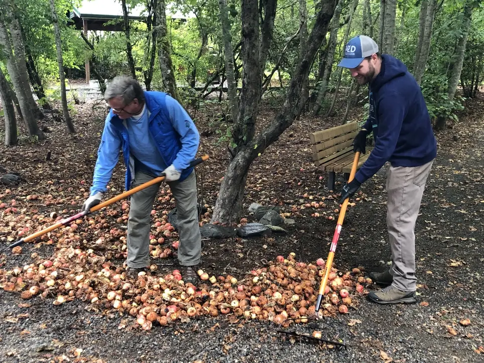 Help Steward Adriana Hess Wetland Park in University Place - Join PCD's May 23 Work Party!