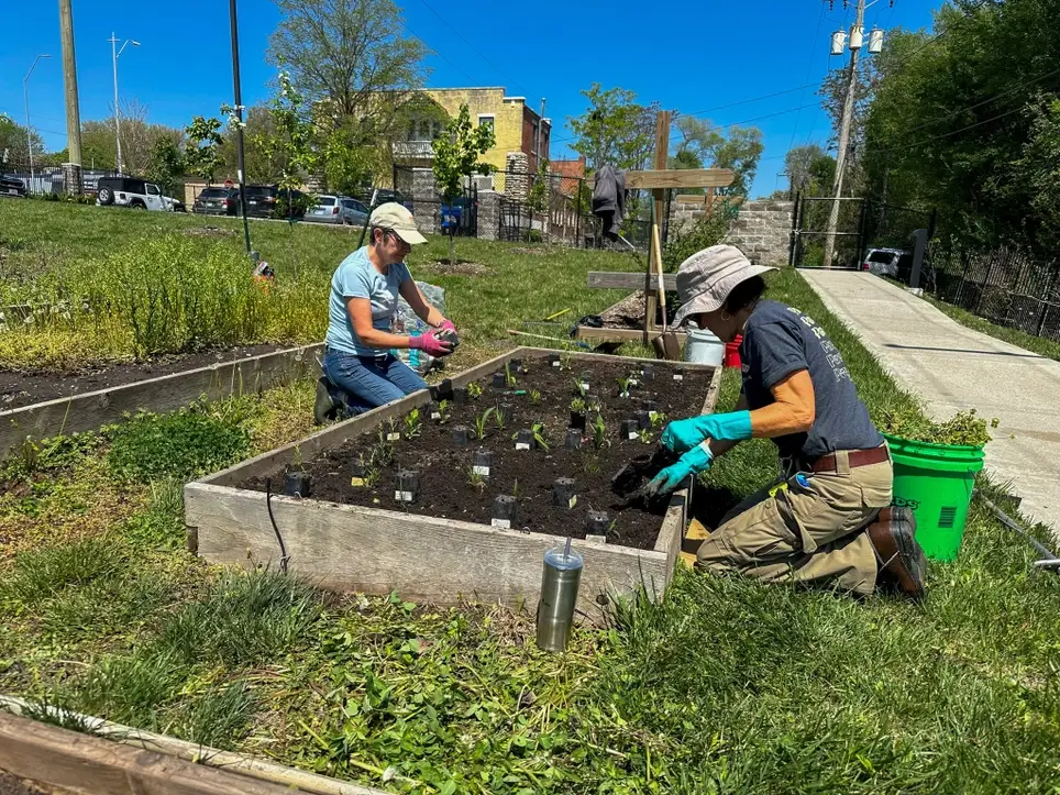 Fall Garden Cleanup