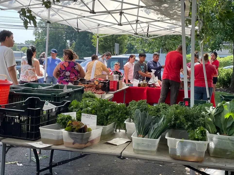 Weekly Wednesday June- November Farmer's Market
