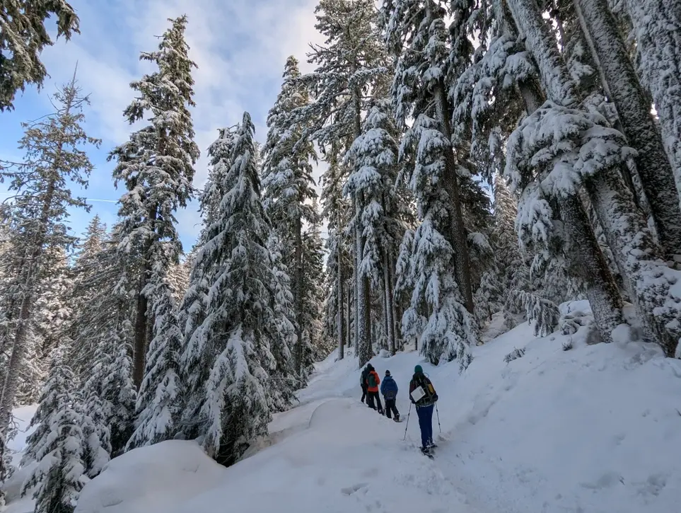 Learn Wildlife Tracking and Help Document Rare Carnivores on Mt Hood