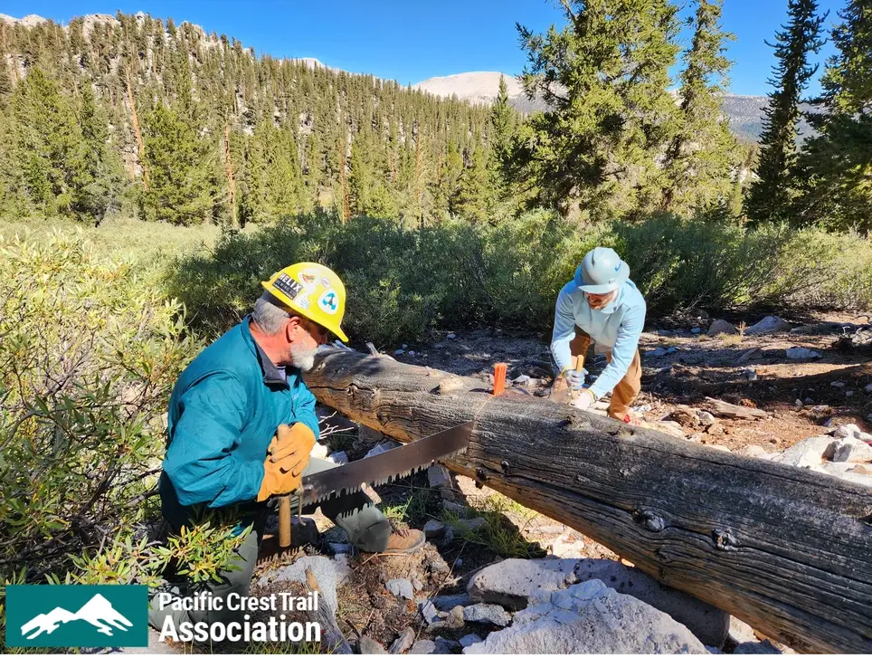 Pacific Crest Trail Maintenance Volunteers - California