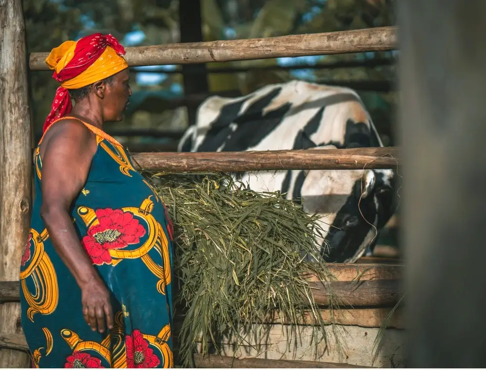 Marketing & Public Relations Board Member