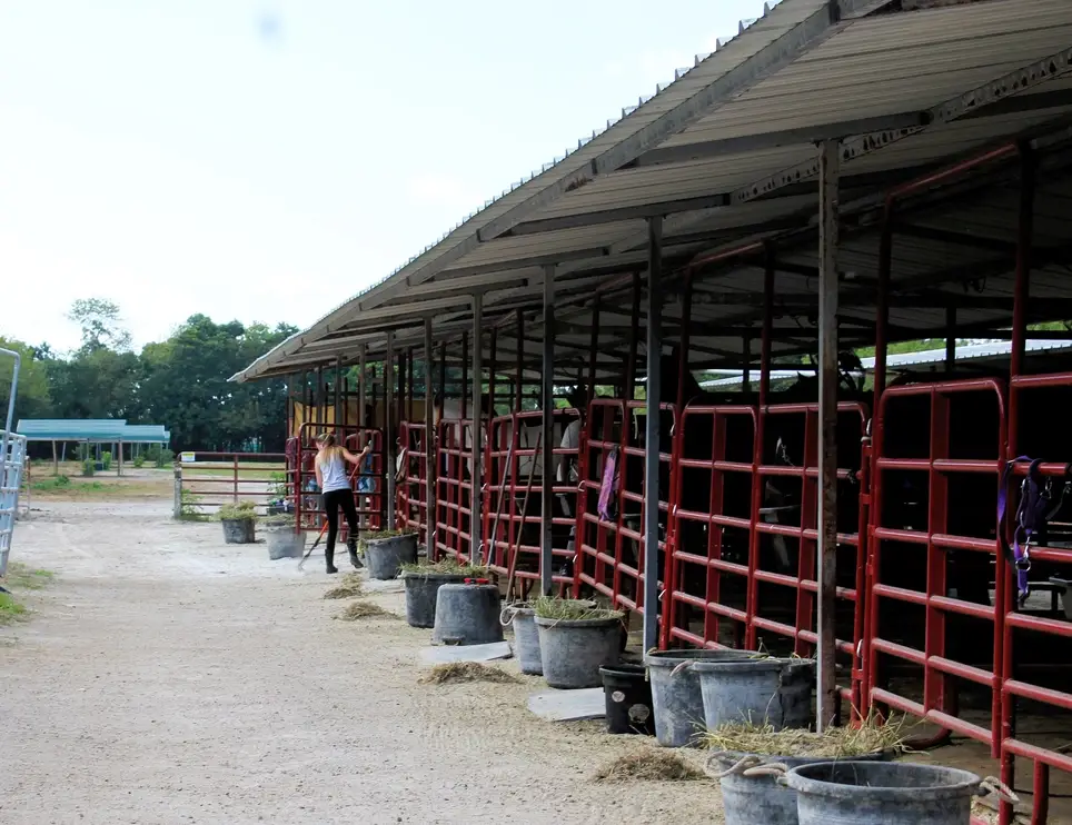 We NEED HORSE LOVERS to VOLUNTEER