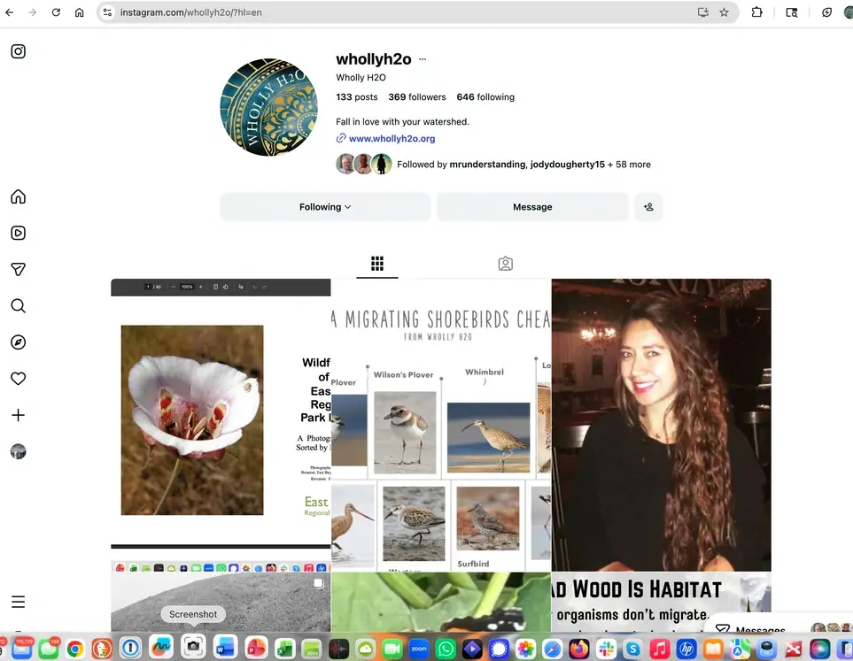 Social Media Maven