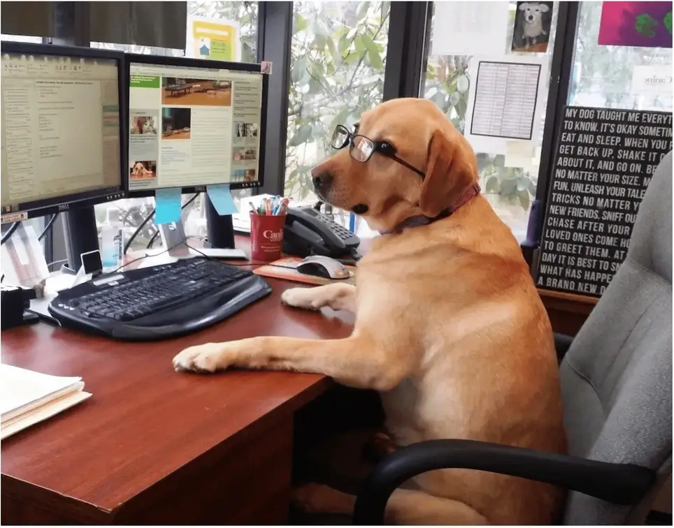 Adminstrative & Technical Assistance