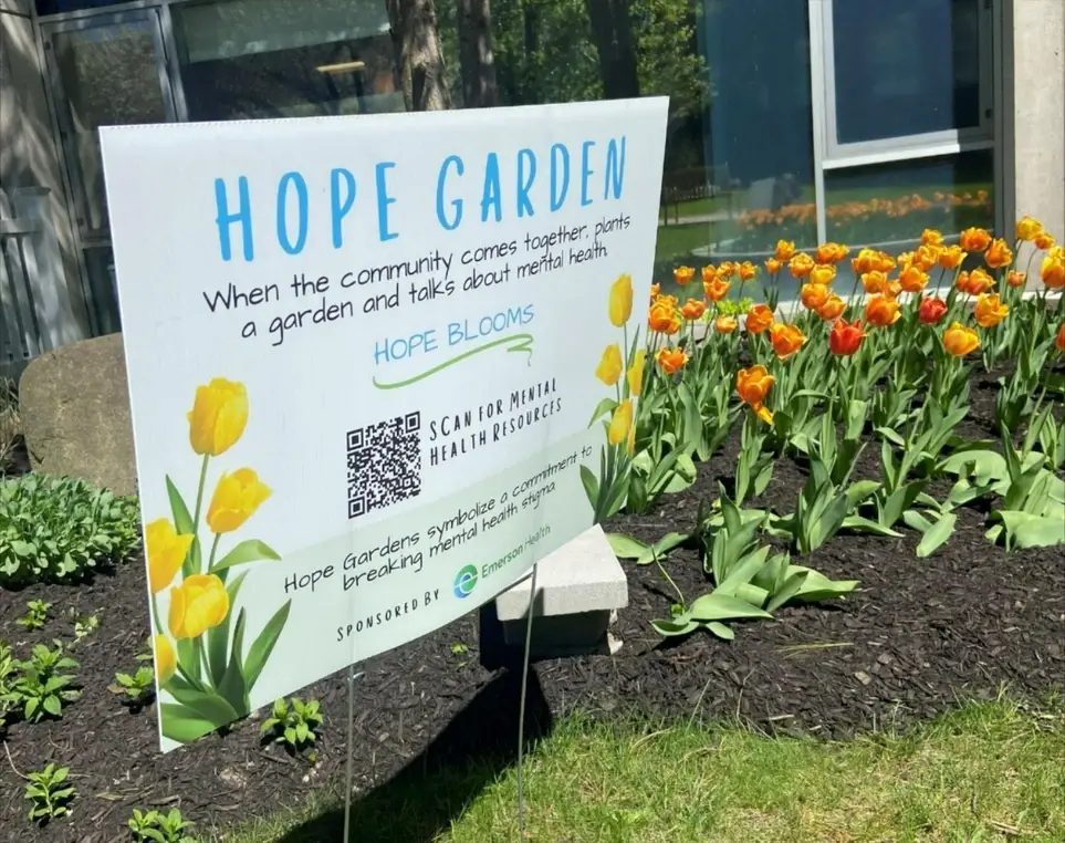 Plant a Yellow Tulip Hope Garden with Danny's Place