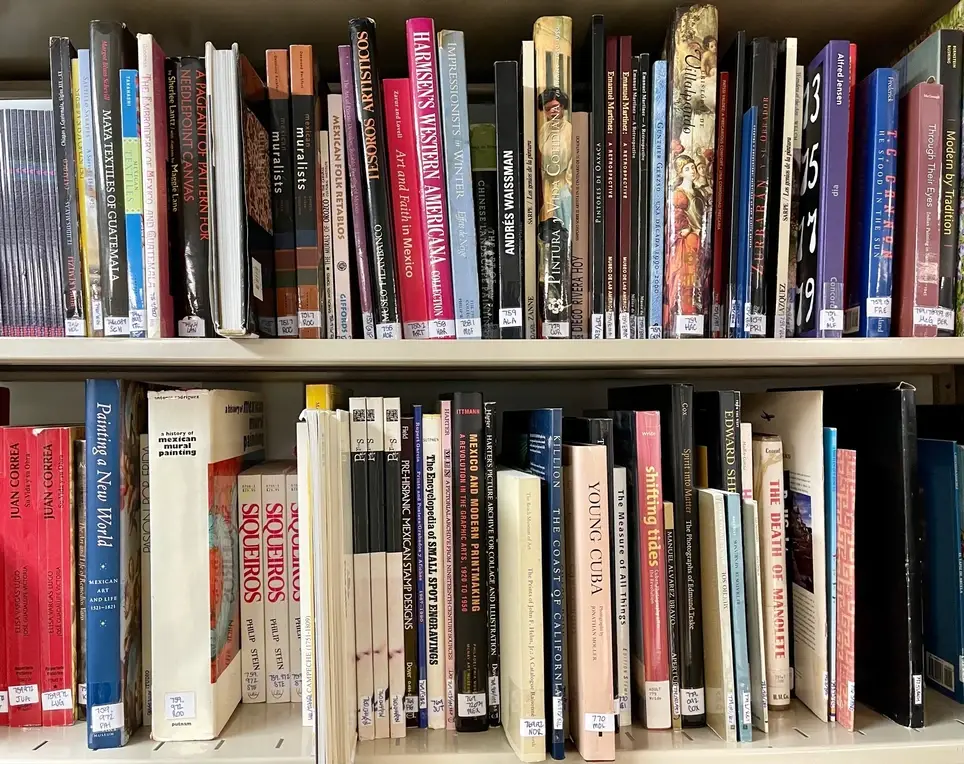 Organizing the Museo Library