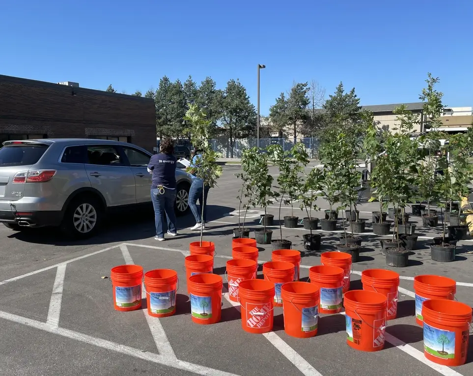 Canopy Cover Tree Giveway Volunteers 4/4/26