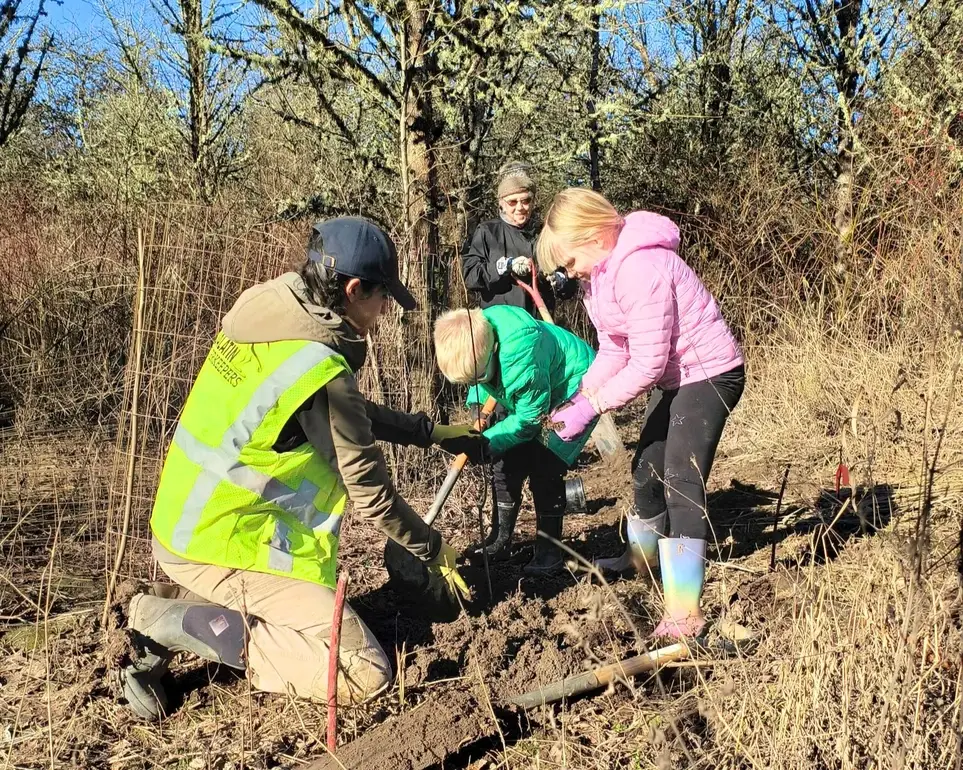 Rock Creek Ivy Removal & Streamside Planting