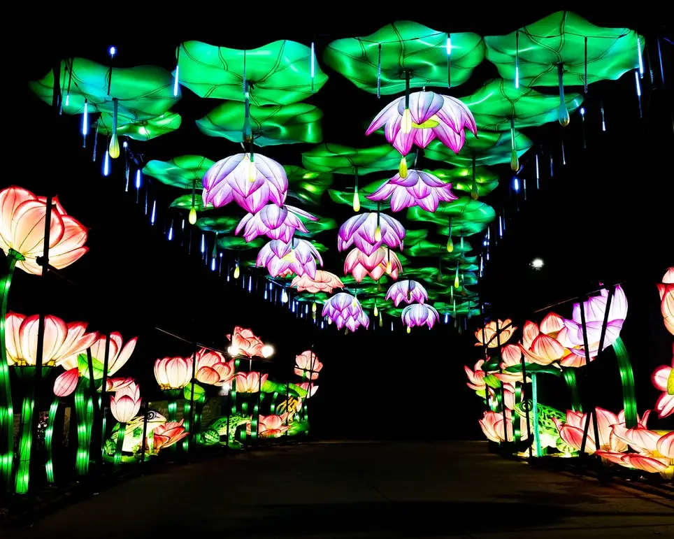 Grand Rapids Lantern Festival Navigation