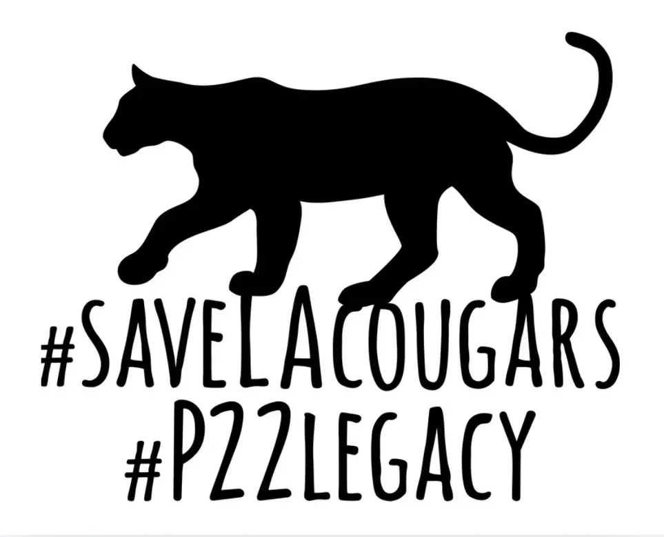 Volunteer with SaveLACougars and the Wallis Annenberg Wildlife Crossing