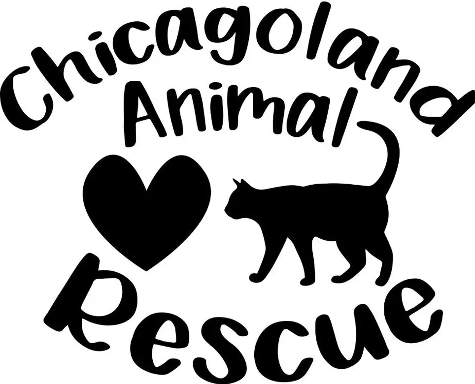 Writing, Social Media, & More! (Virtual)