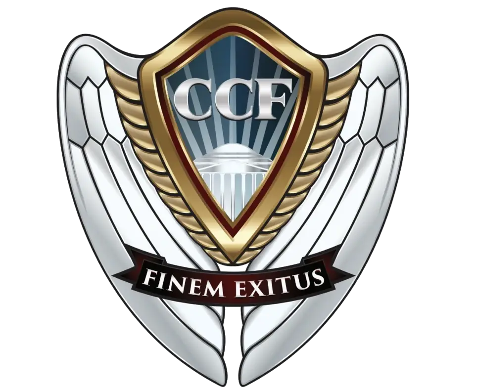 Moodle / LMS Training Assistant – Volunteer or Academic Internship (Remote)