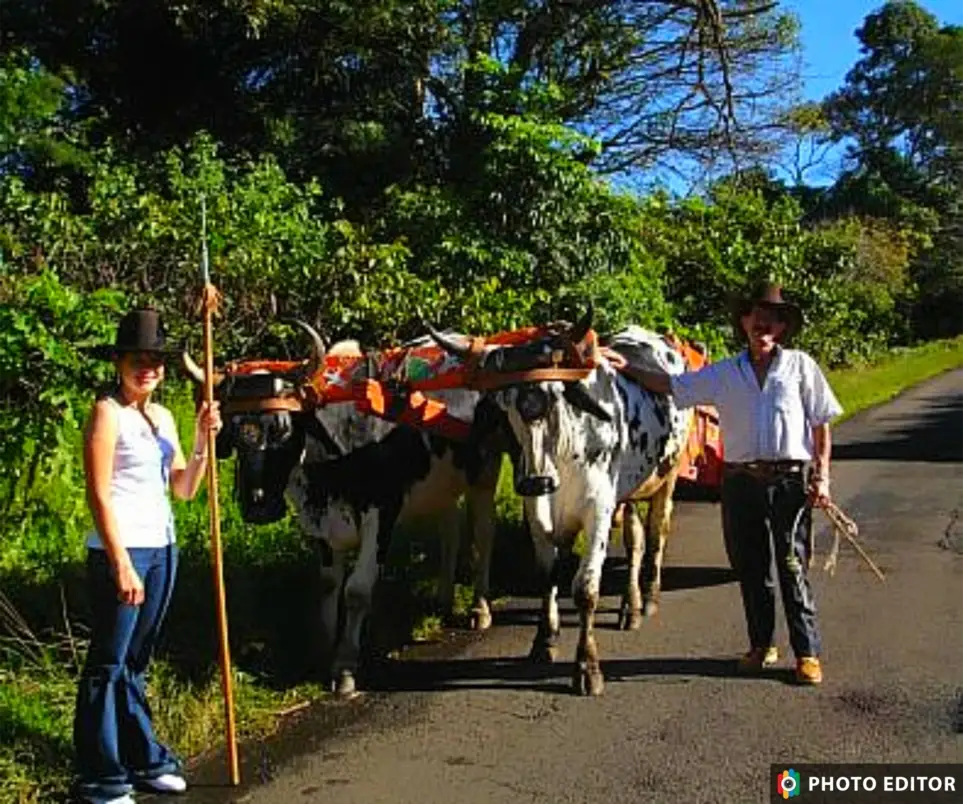 Digital Marketing Specialist