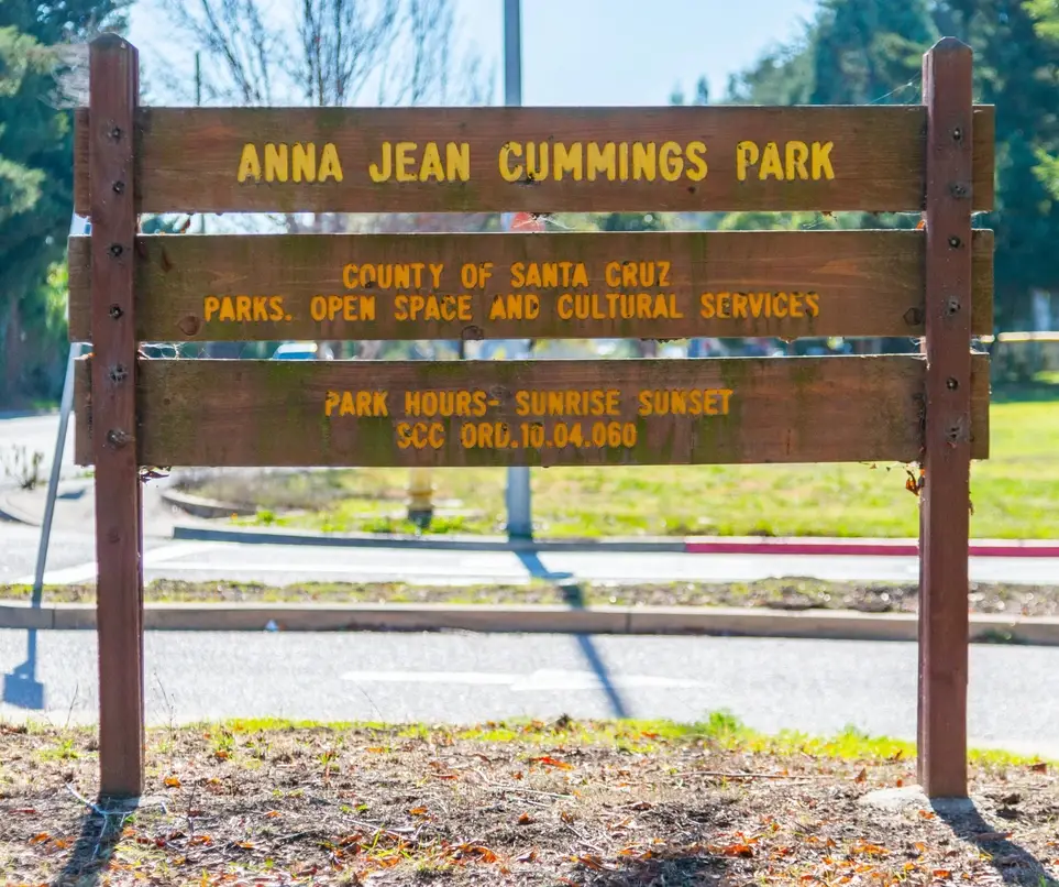 Habitat Restoration at Anna Jean Cummings County Park