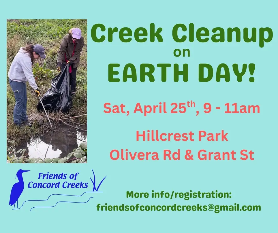 Creek Cleanup in Concord