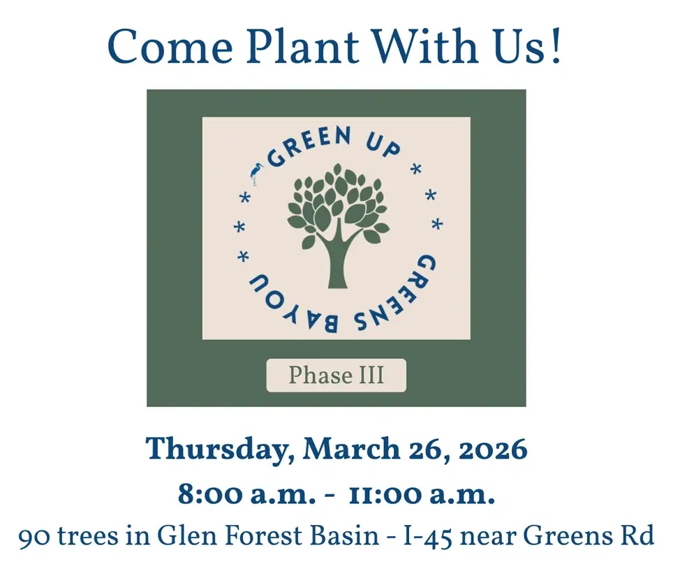 Tree Planting - Green Up Greens Bayou Phase III