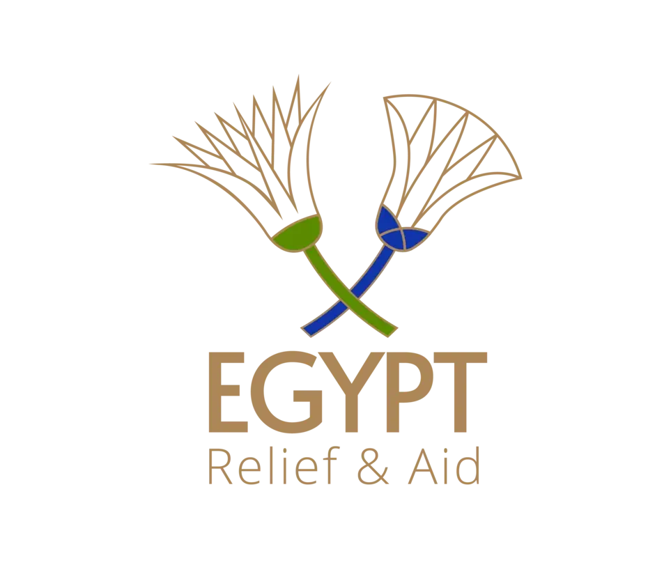 Board Member/Director