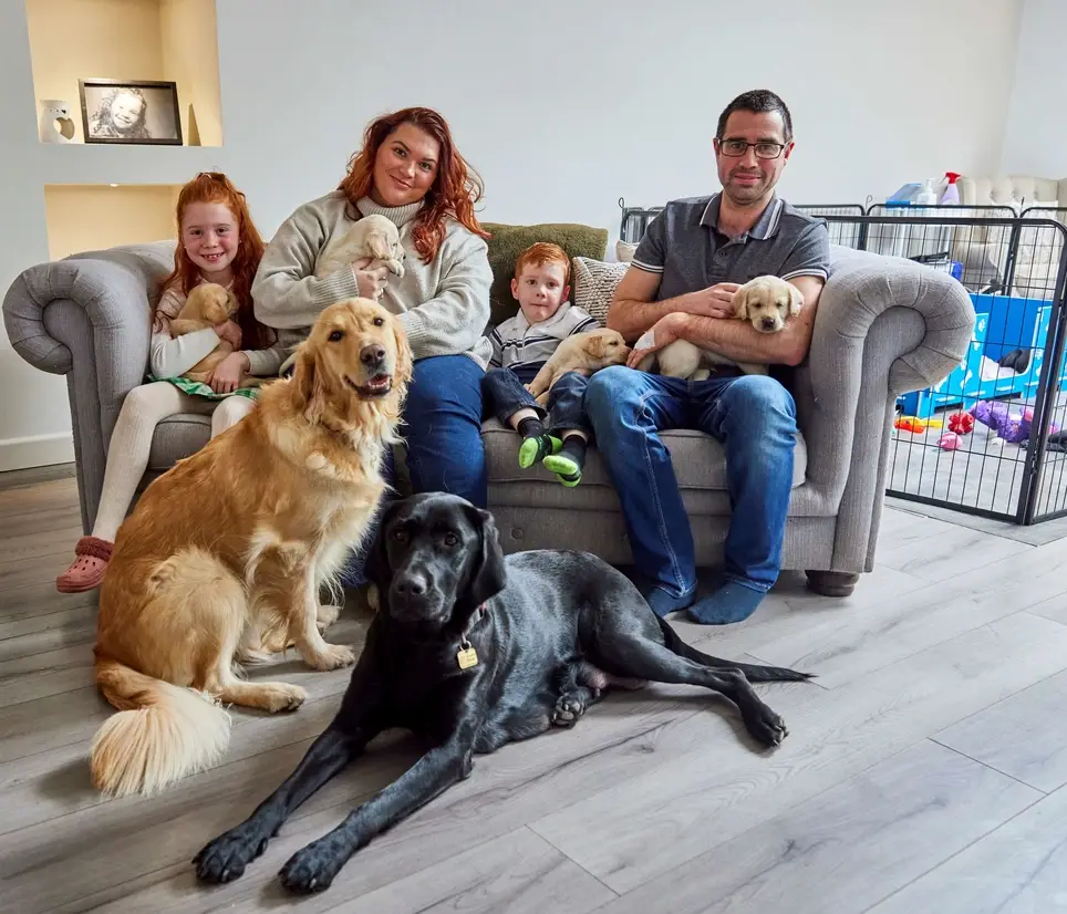 Breeding Dog Volunteer - Brood