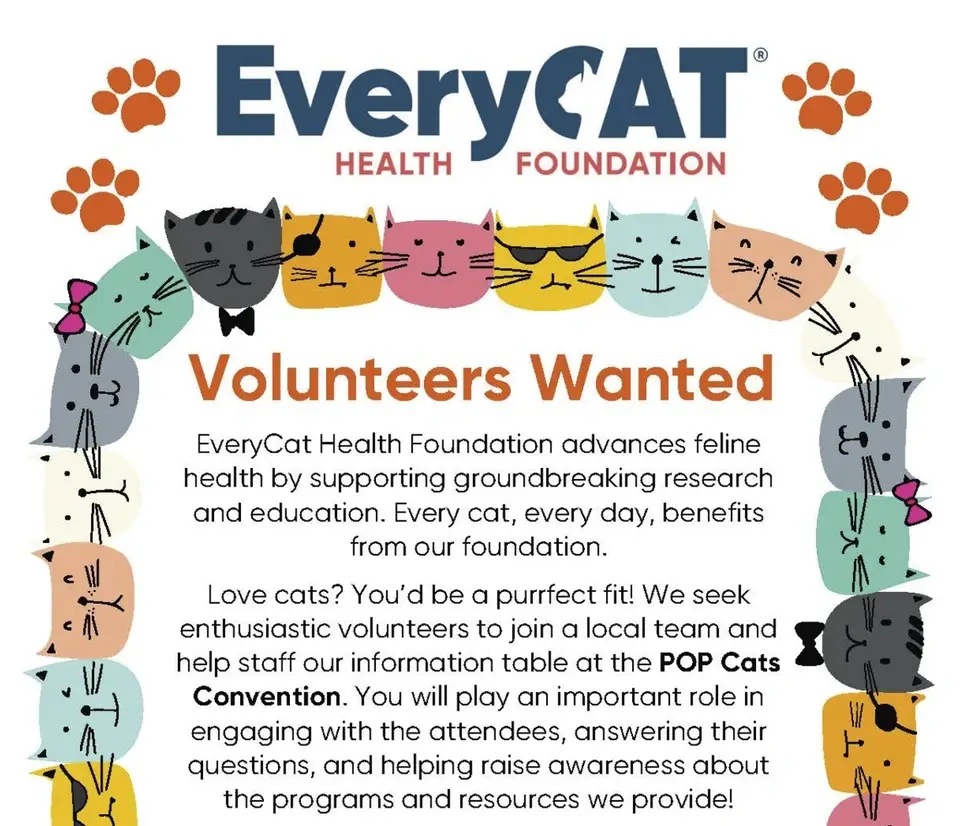Help EveryCat at POP Cats Chicago 2026