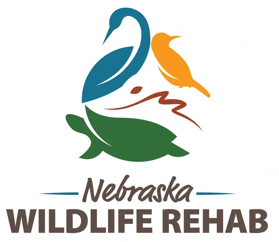 Nebraska Wildlife Rehab Statewide Transport Team