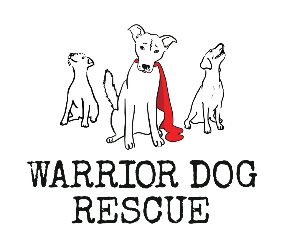 Do you have a phone and 15 minutes to spare? You can help get a dog home!